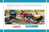 Fundación ADO - Prácticas de siembra de hortalizas