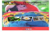 Viaje Terrestre Amazonas