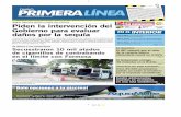 Primera Linea 3669 21-01-13.pdf