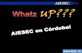 Newsletter AIESEC en Cordoba 15-01-2013