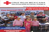 Boletin Bimensual Cruz Roja Mexicana delegación Estatal No. 15