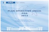 Plan operativo anual 2013