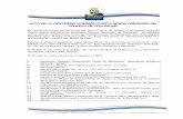 Acta sesion ordinaria N° 124 Municipalidad de Coyhaique