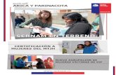 Boletín SERNAM - Arica y Parinacota / Abril 2013