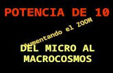 Macro & Microcosmos