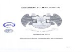 Informe Ecoeficiencia 2010
