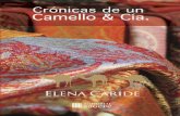 Crónicas de un camello & Cía.