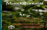 Revista Mundo Forestal 17