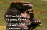El Gorila: Salvame