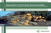 Gestión forestal sostenible, certificación forestal e instrumentos de planificación