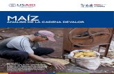 Maiz: Analisis de la Cadena de Valor en San Pedro, Concepcion, Amambay y Canindeyu