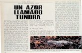 Fauna Iberica 03.Un azor llamado Tundra.Blanco y Negro.15.04.1967