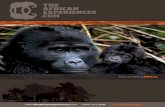 Guía de Gorilas de Montaña en el Mundo