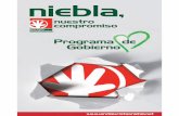Programa de Gobierno. Partido Andalucista de Niebla.