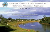 Manual de Control Social sobre los Recursos Naturales (Español)