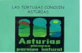las tortugas viajan por Asturias