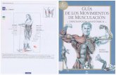 Guía Anatómica de los Movimientos de Musculación