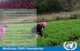 Desafios ONU Honduras Marzo 2012_2