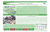 Flash FSFE-Nº 4-Especial Asamblea
