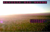 Revista Río Negro 8.3 Especial Atacama
