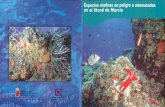 Especies marinas en peligro o amenazadas en el litoral de Murcia