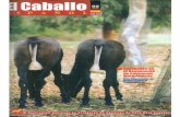 Revista El Caballo Español 2005, n.167