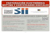 Guía de Facturacón Electrónica