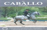 Revista El Caballo Español 1992, n.91