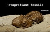 Fotografiant fòssils