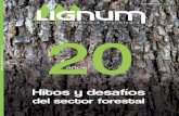 Revista Lignum Septiembre 2010 | Nº 121