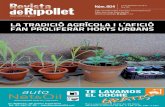 Revista de Ripollet 804
