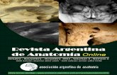 Revista Argentina de Anatomía Online 2012; 3(4):97-136.
