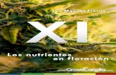 Cultivando Marihuana Cap.XI - Los Nutrientes en Floración