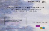 Presentación de Servicios de Consultoría de Términus Consultores