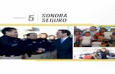 Sonora Seguro - Informe 2013