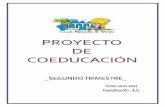 PROYECTO DE COEDUCACION SEGUNDO TRIMESTRE CURSO 2010-2011