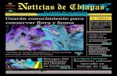 Noticias de Chiapas edición virtual Febrero 23-2013
