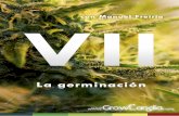 Cultivando Marihuana - Cap VII, La Germinación