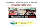 Informe choropampa 2004
