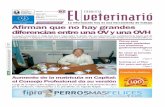 EL CRONISTA VETERINARIO 92 - MAR.2011