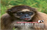 El Mono Araña: conociendo al primate neotropical más amenazado