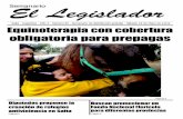 Semanario El Legislador Nº84