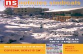 Notícies Sindicals Serveis 2011