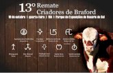 13 Criadores de Braford