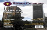 Revista Bienes Comunes Edición No. 2