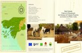 Projecto Balal Gainako - Apoio aos criadores de gado