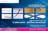 Matematicas V con enfoque en competencias. Cálculo diferencial. Patricia Ibañez Carrasco