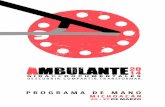 Programa de mano de Michoacán