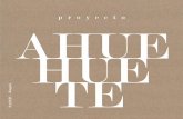 Proyecto Ahuehuete