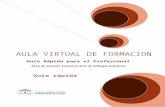 Guia de Uso del Aula virtual